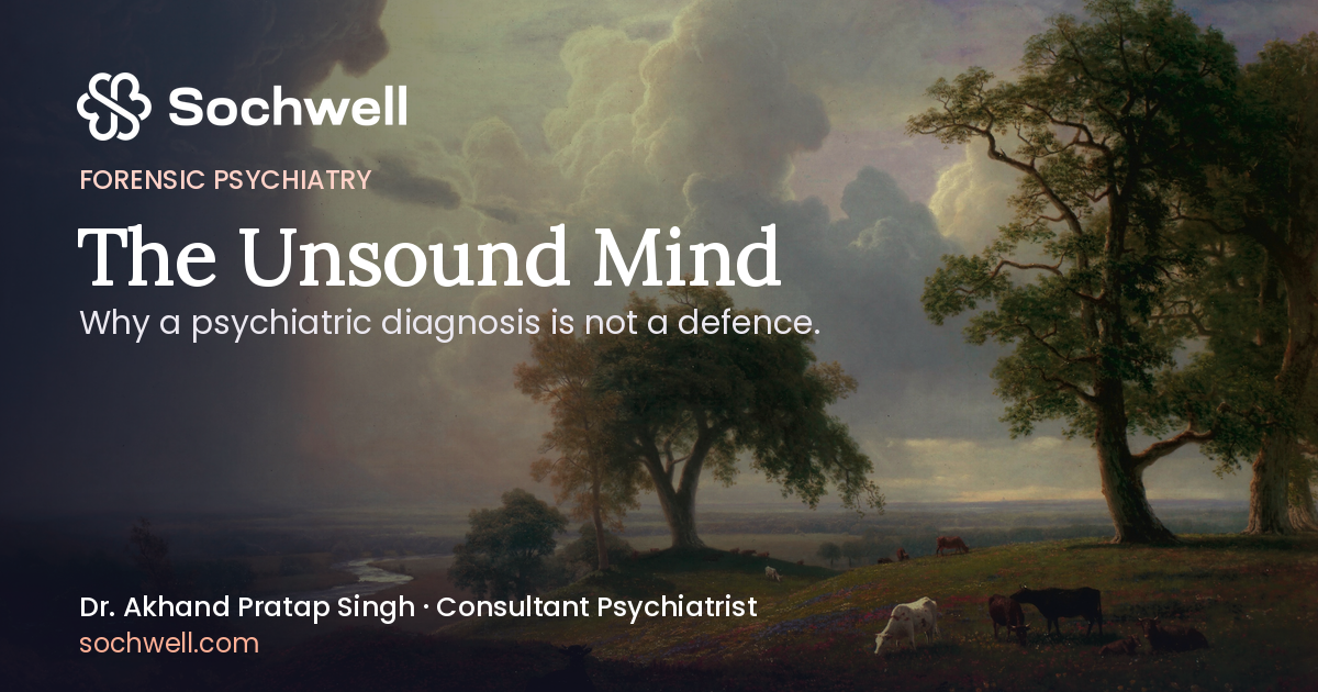 Cover image for The Unsound Mind: What the Law Means, and What It Doesn't
